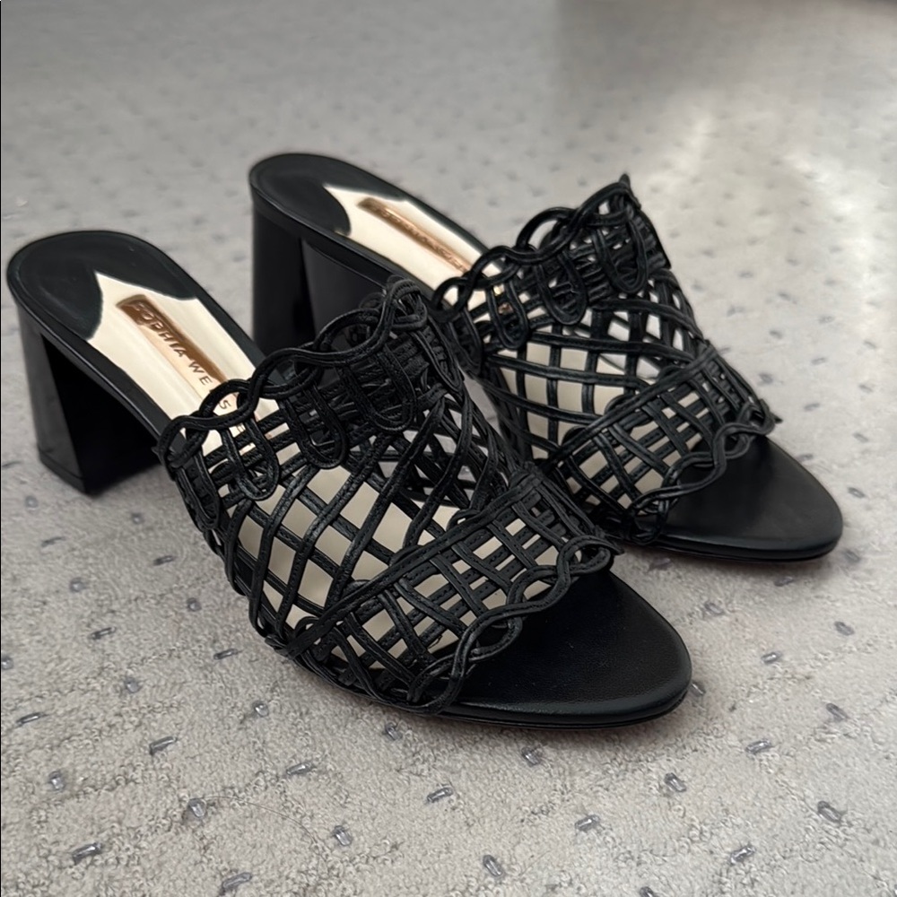 Elegant Black Women's Block Heeled Sandals